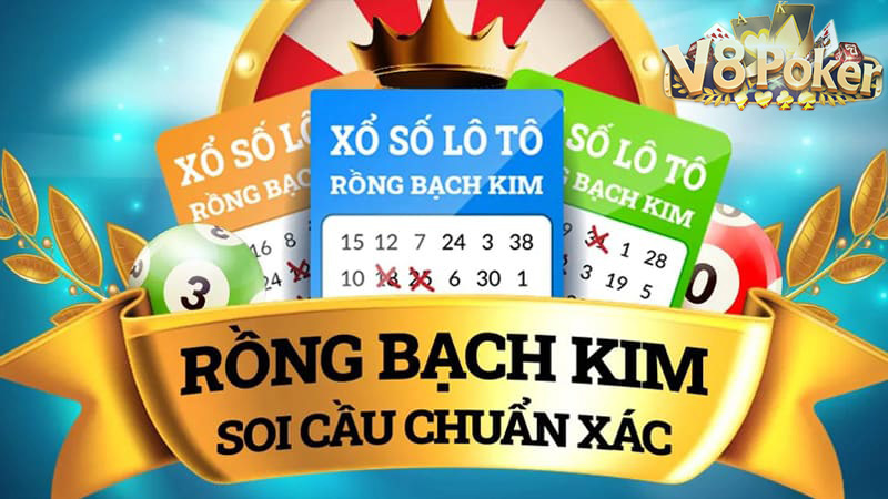 soi cau rong bach kim 6